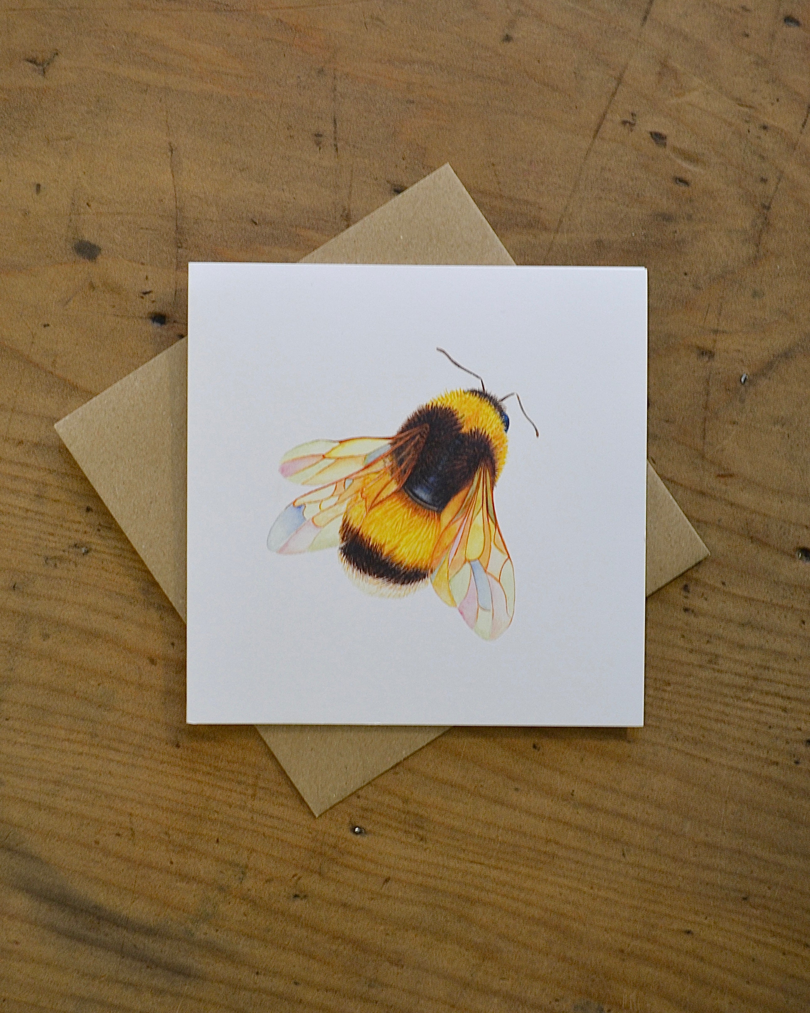 Buff Tailed Bumble Bee Card - Helen Taylor