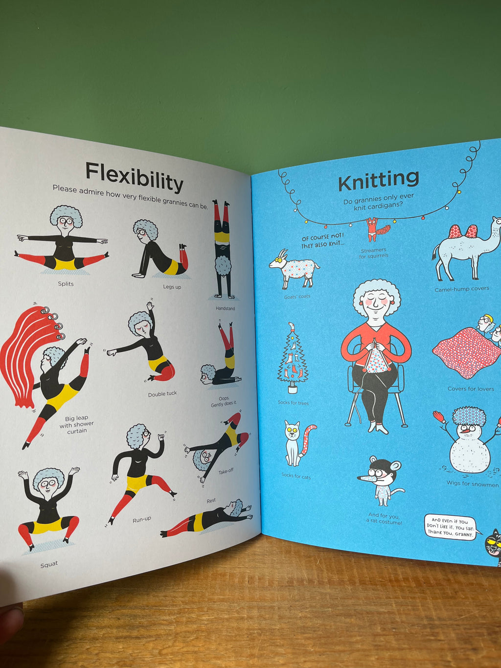 Encyclopedia of Grannies by Éric Veillé