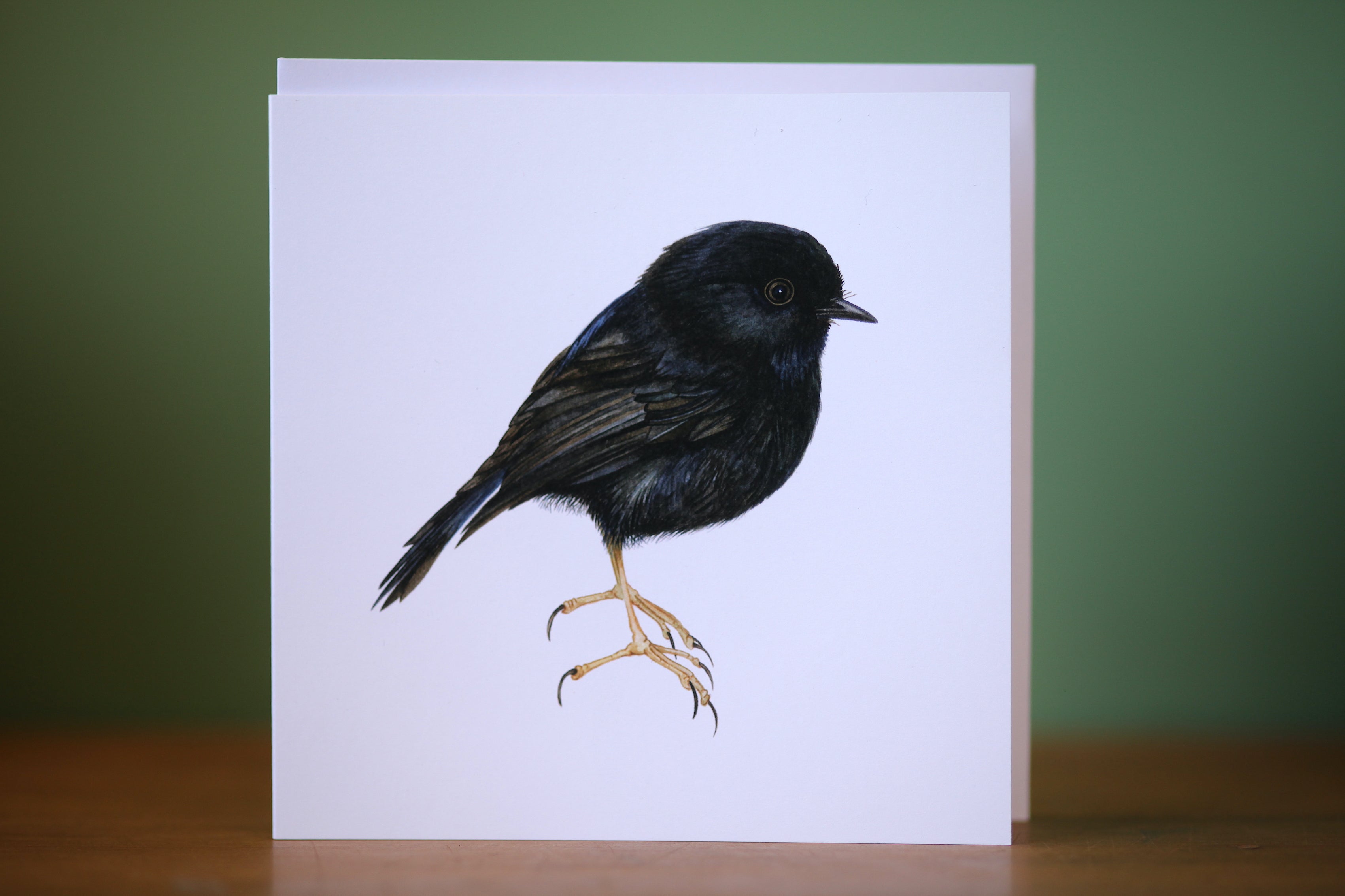 Kakaruia / Black Robin Card - Helen Taylor