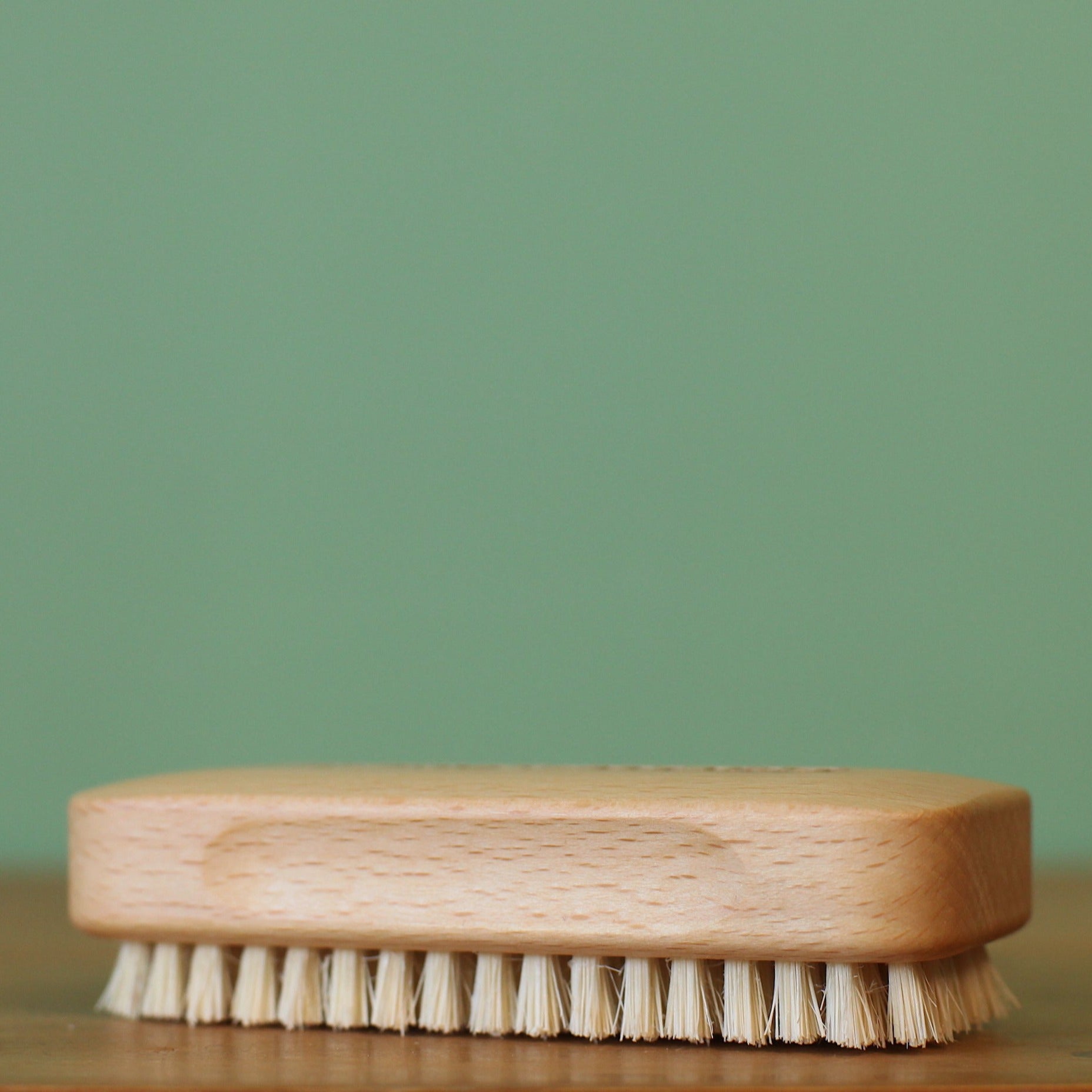 Gardener's Nail Brush