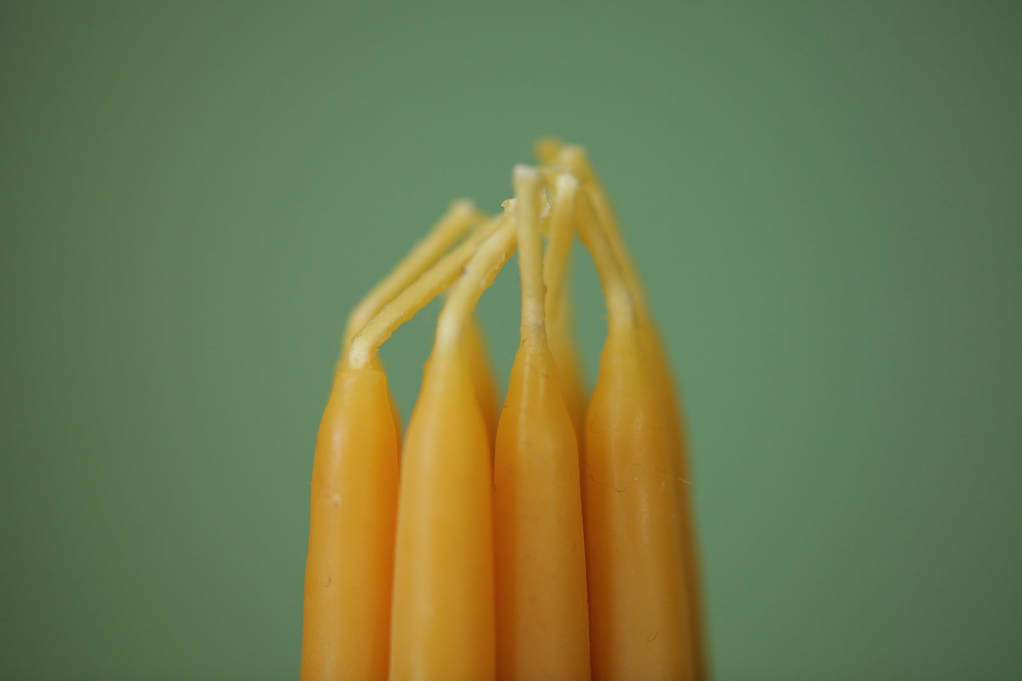 Hohepa Beeswax Birthday Candles