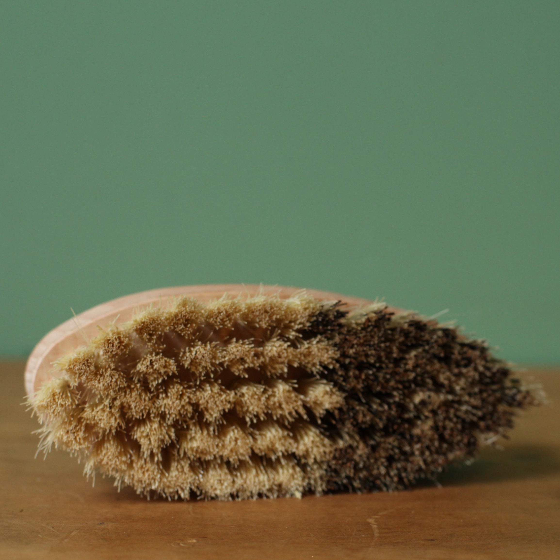 Vegetable Brush