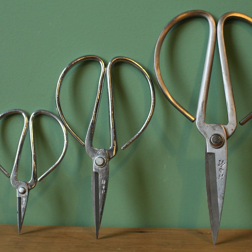 Wah Lee & Co. Scissors
