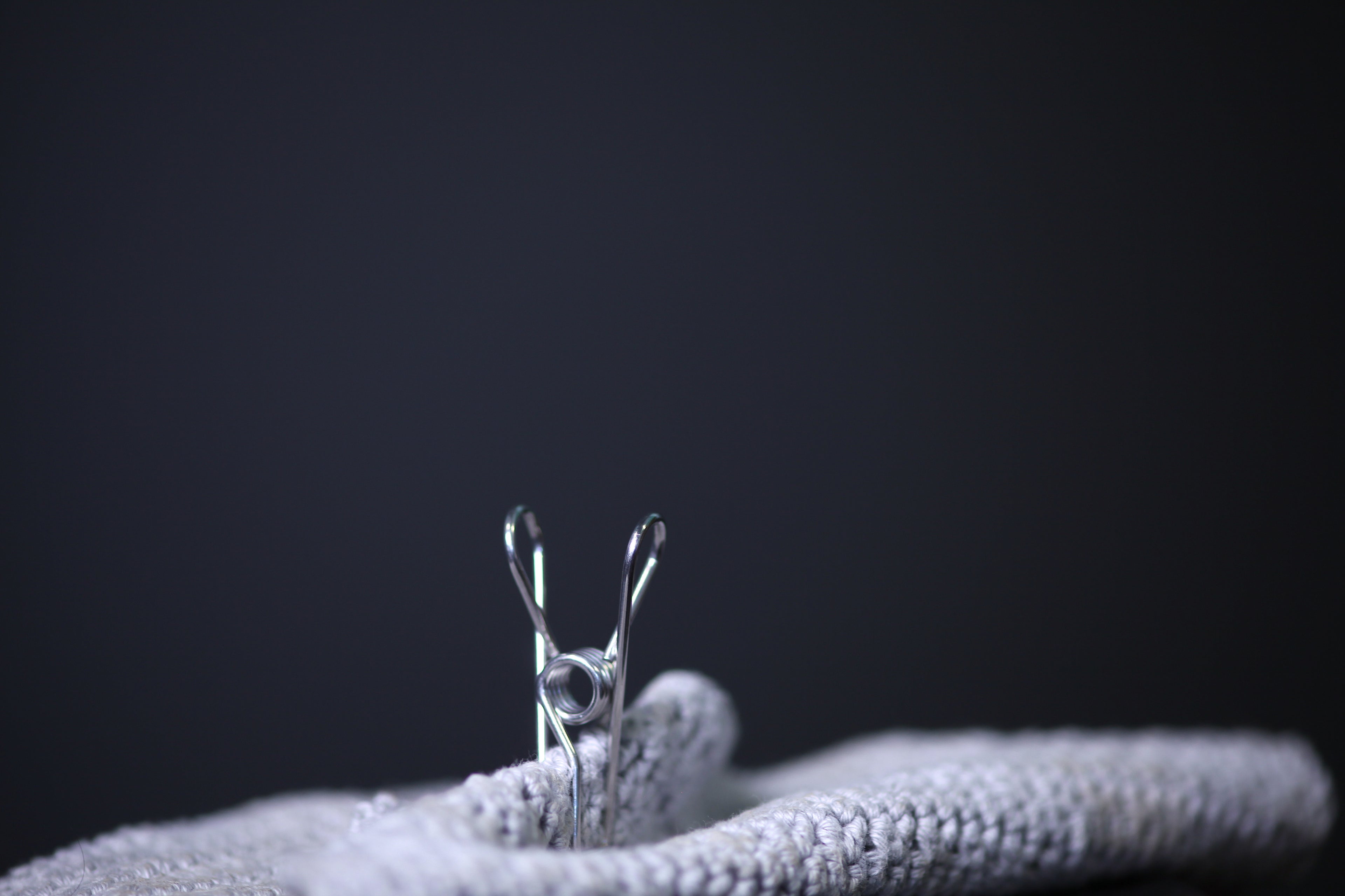 Stainless Steel Clothes Peg