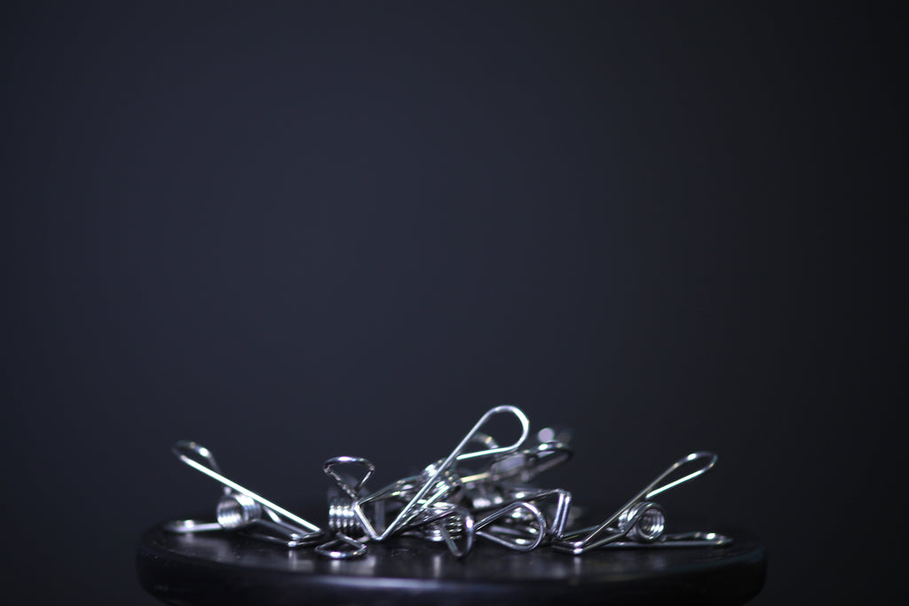 Stainless Steel Clothes Peg
