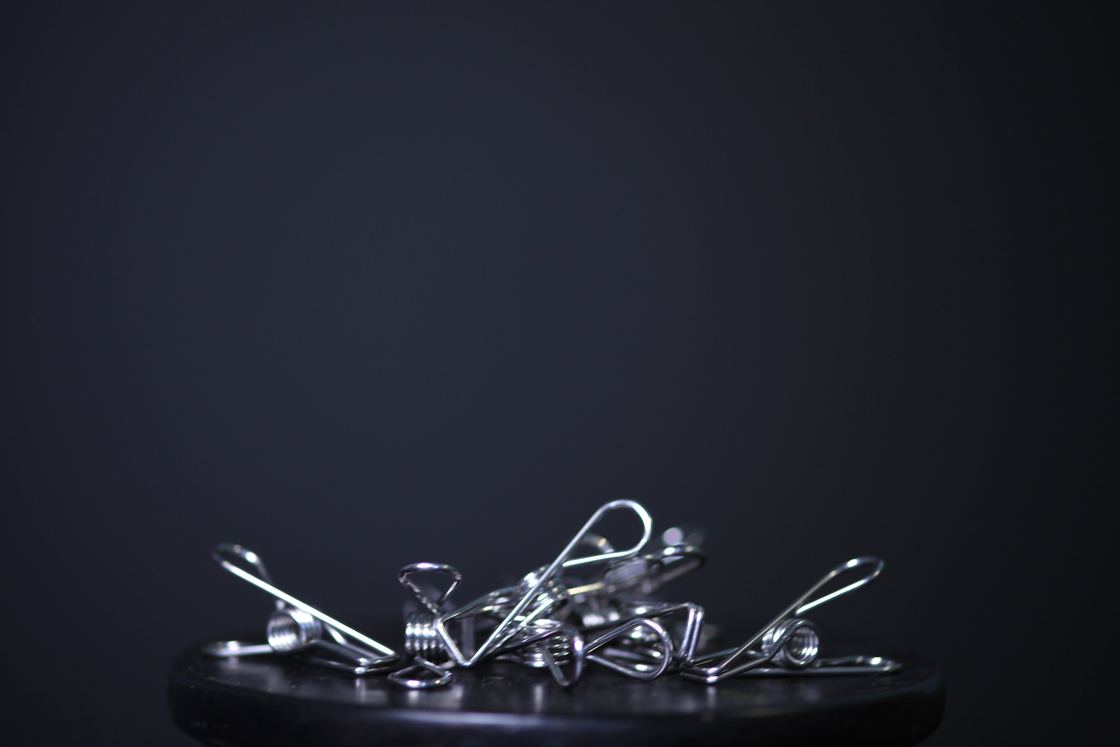 Stainless Steel Clothes Peg