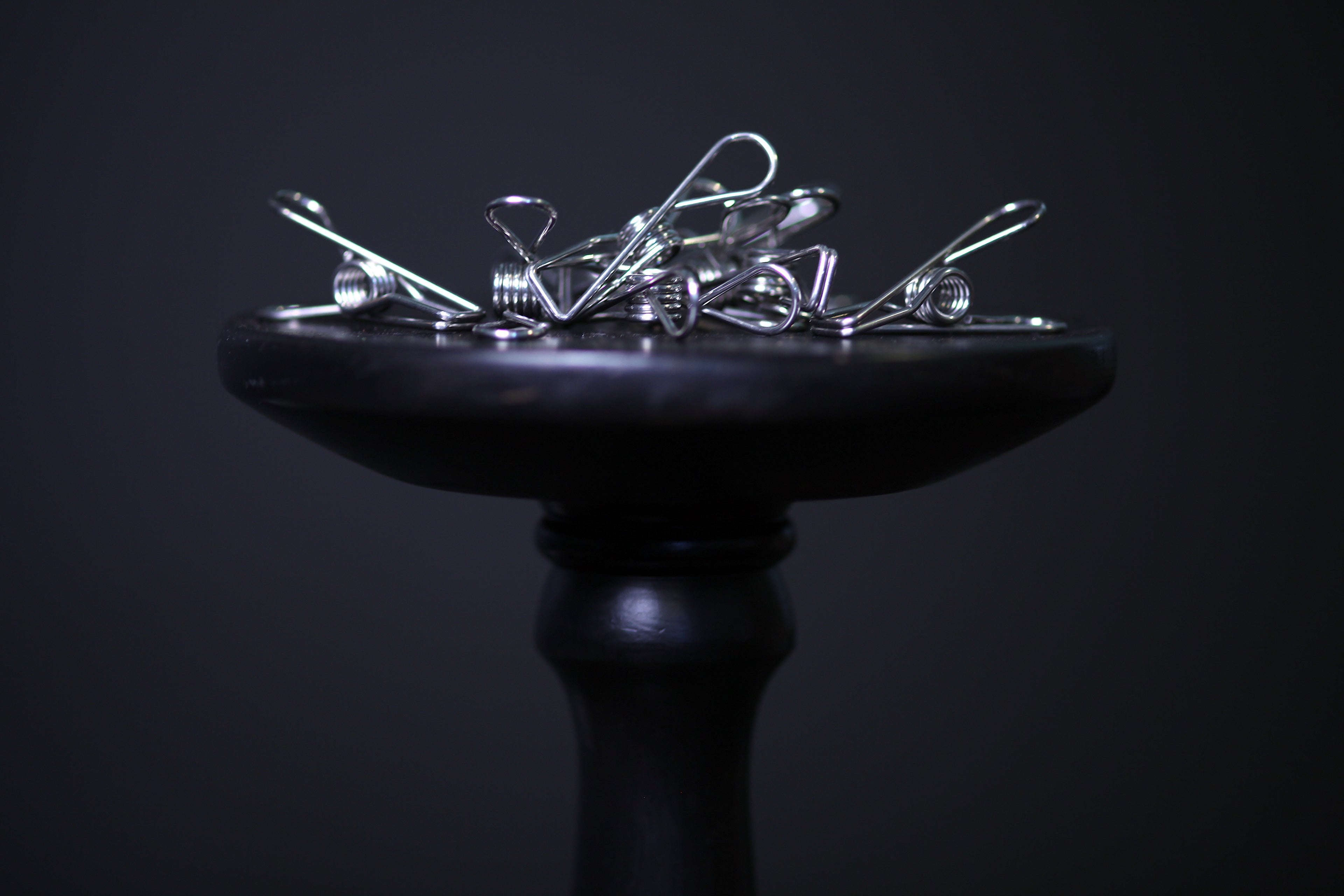 Stainless Steel Clothes Peg