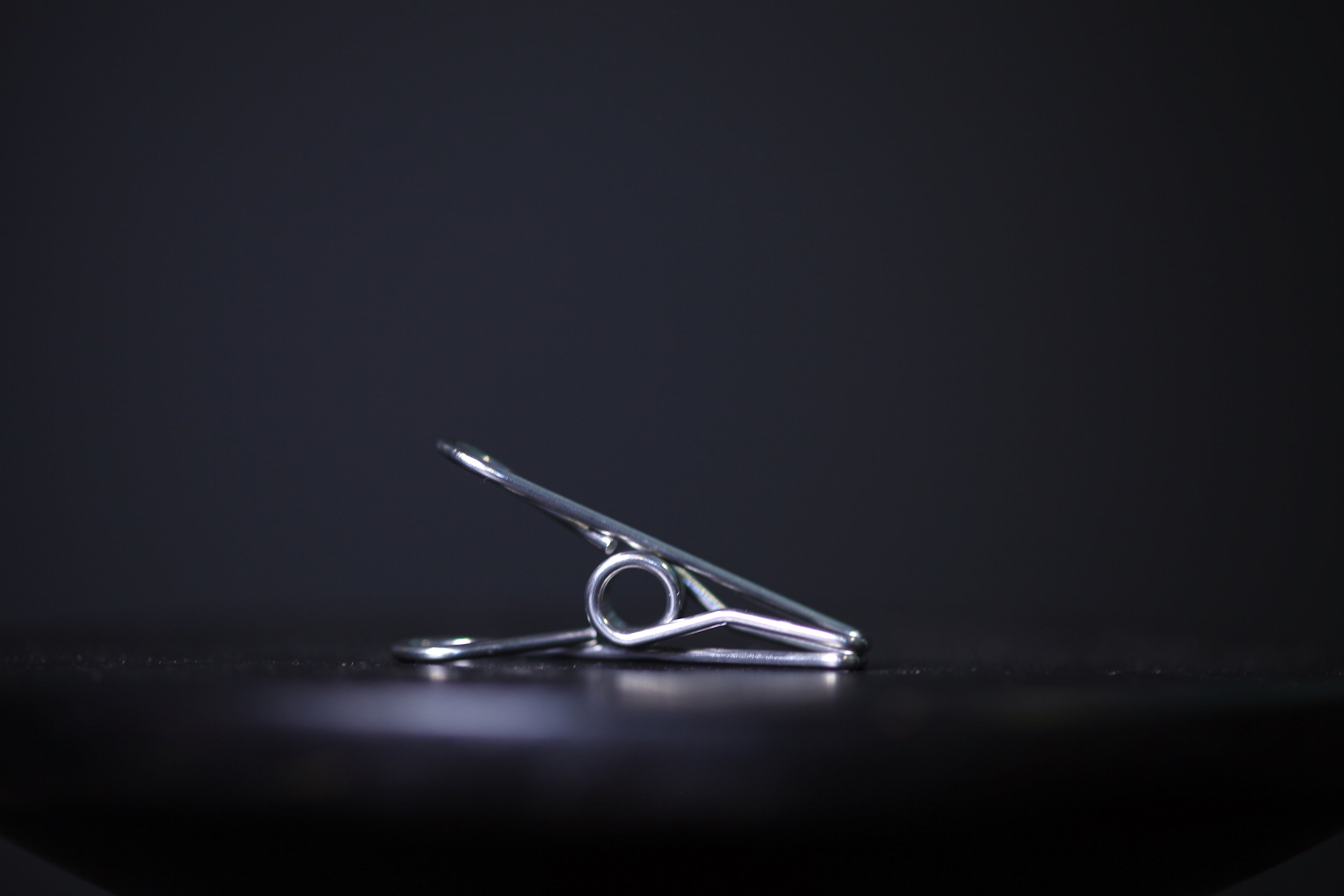 Stainless Steel Clothes Peg