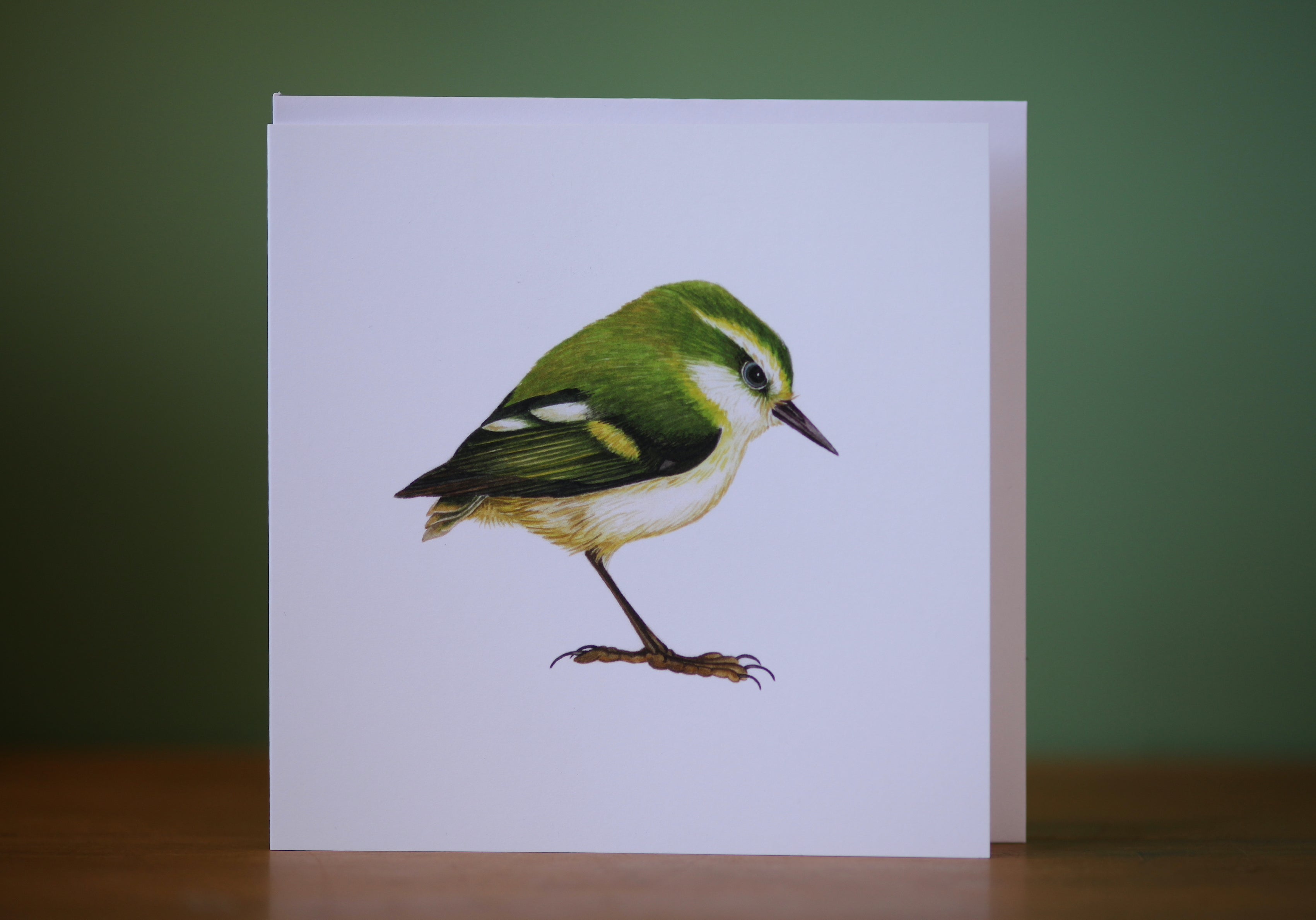 Tītipounamu / Rifleman Card - Helen Taylor