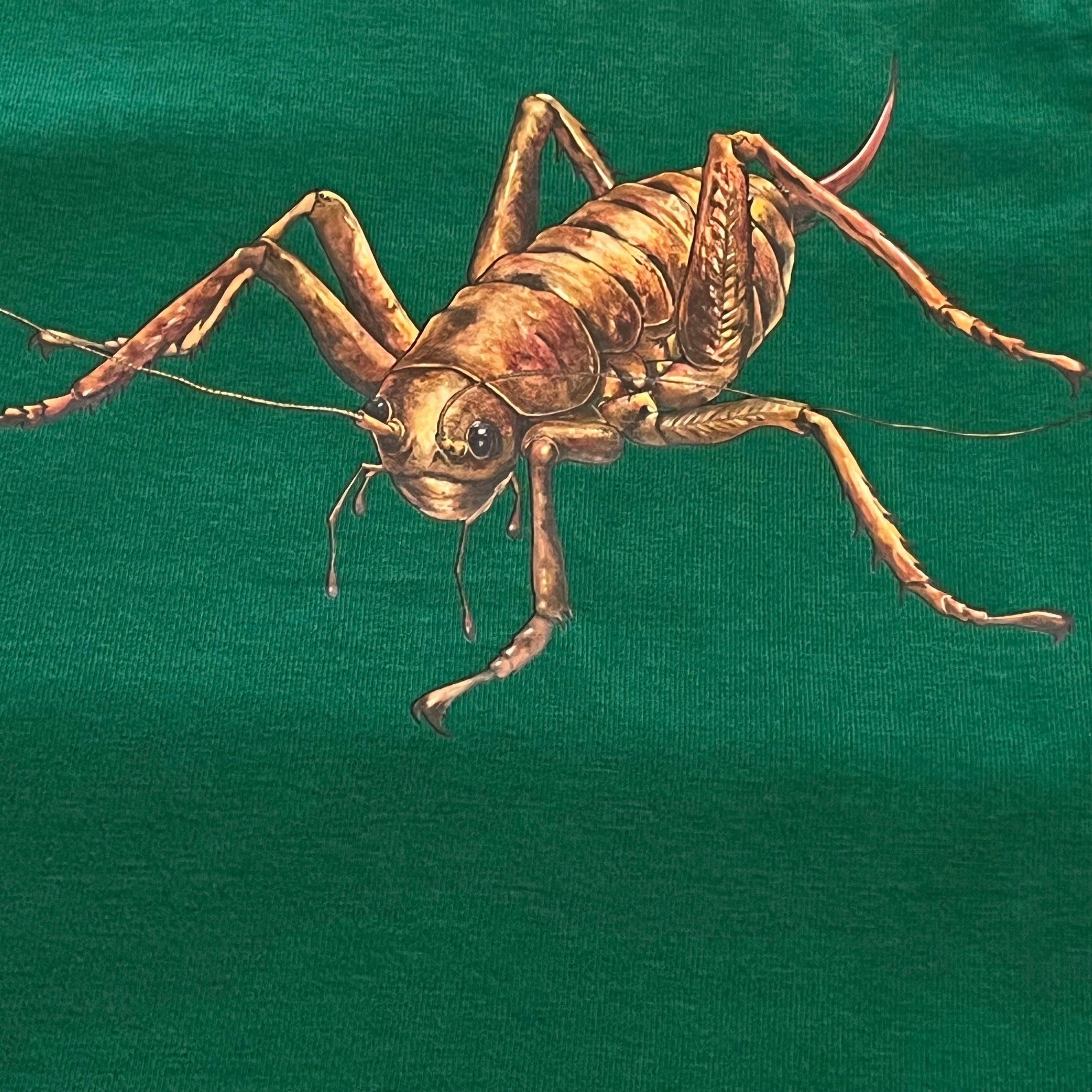 Wētāpunga Kids T Shirt