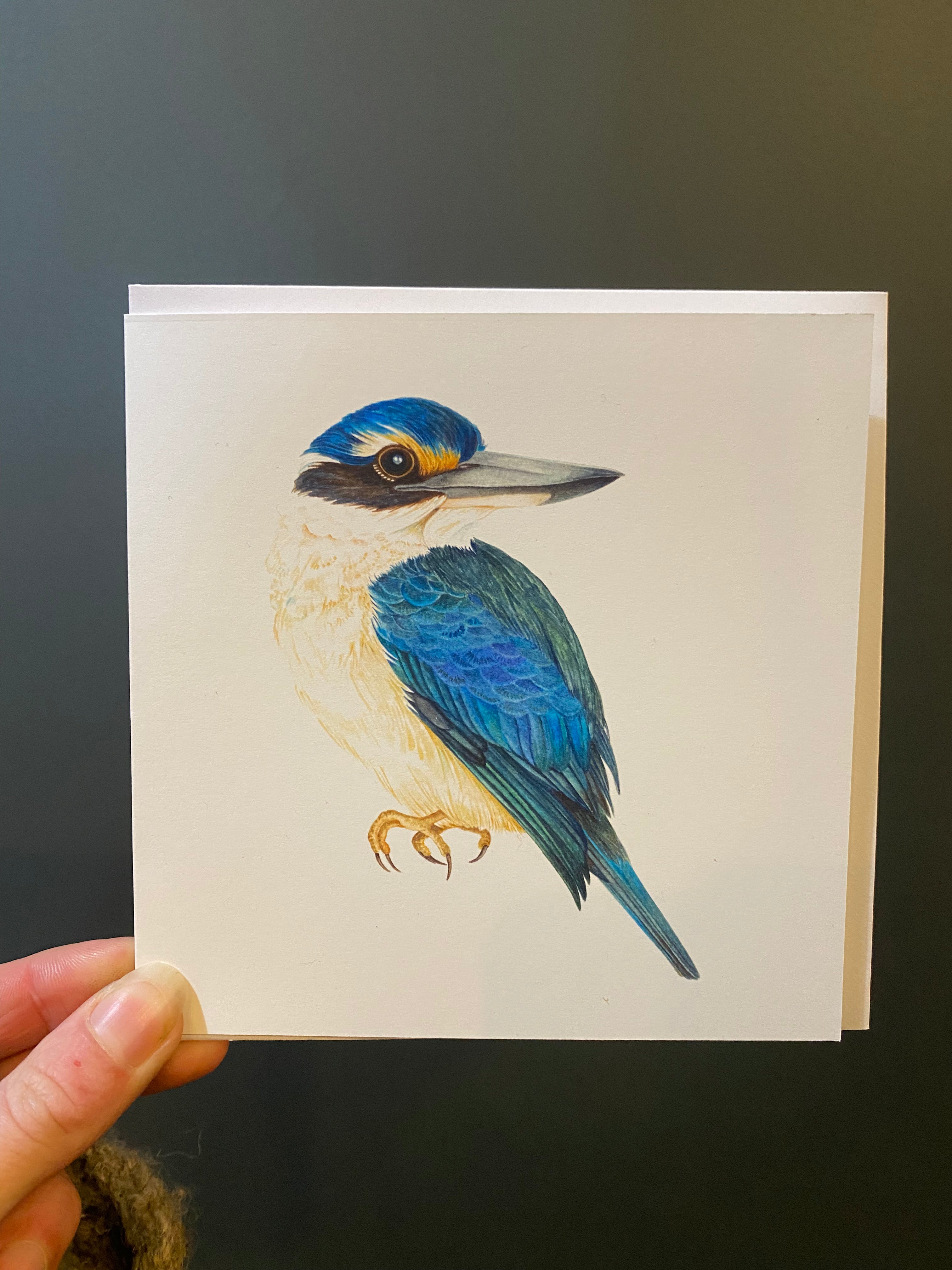 Kotare / Kingfisher Card - Helen Taylor