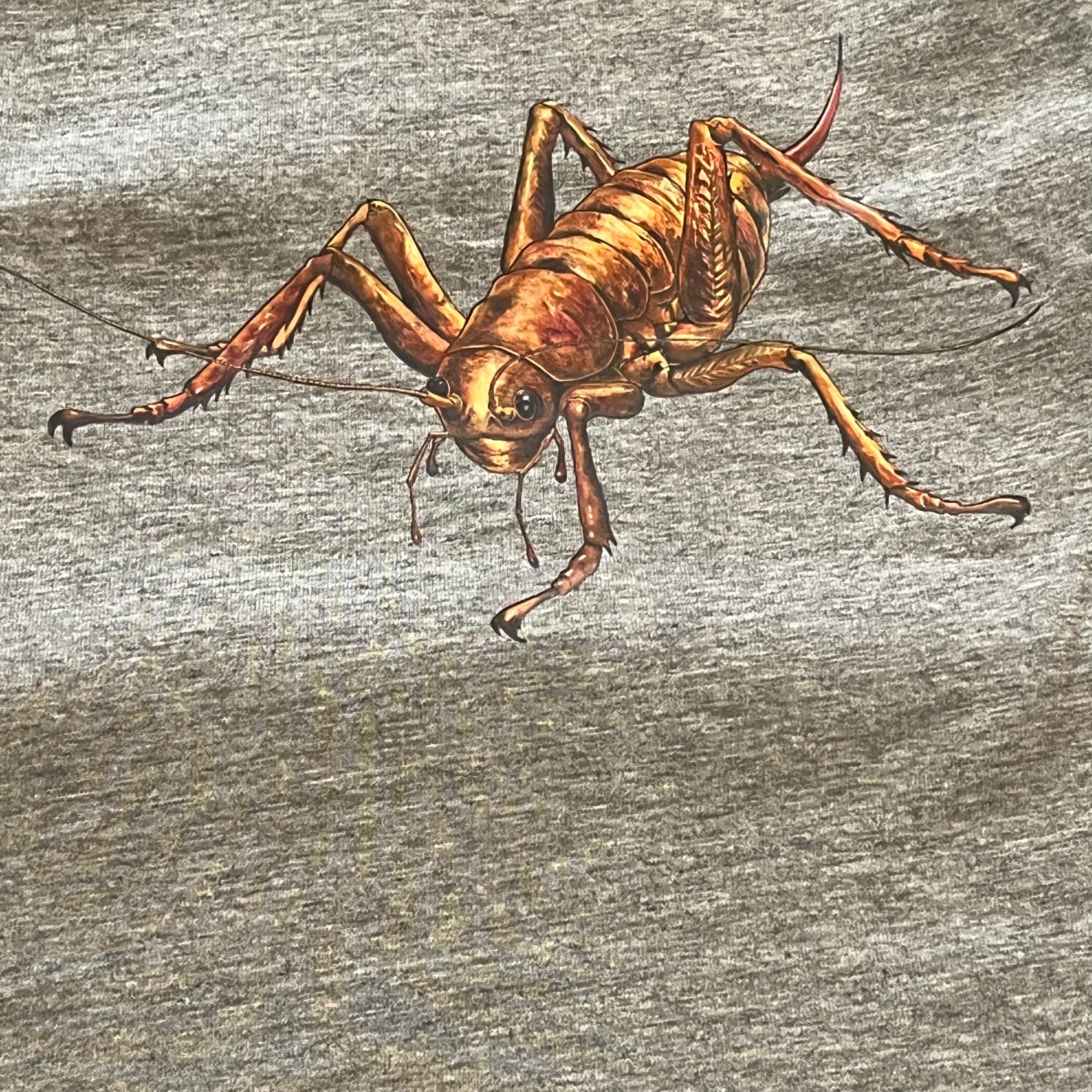 Wētāpunga Kids T Shirt